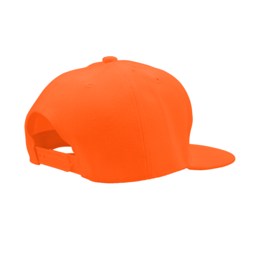Ps snapback back