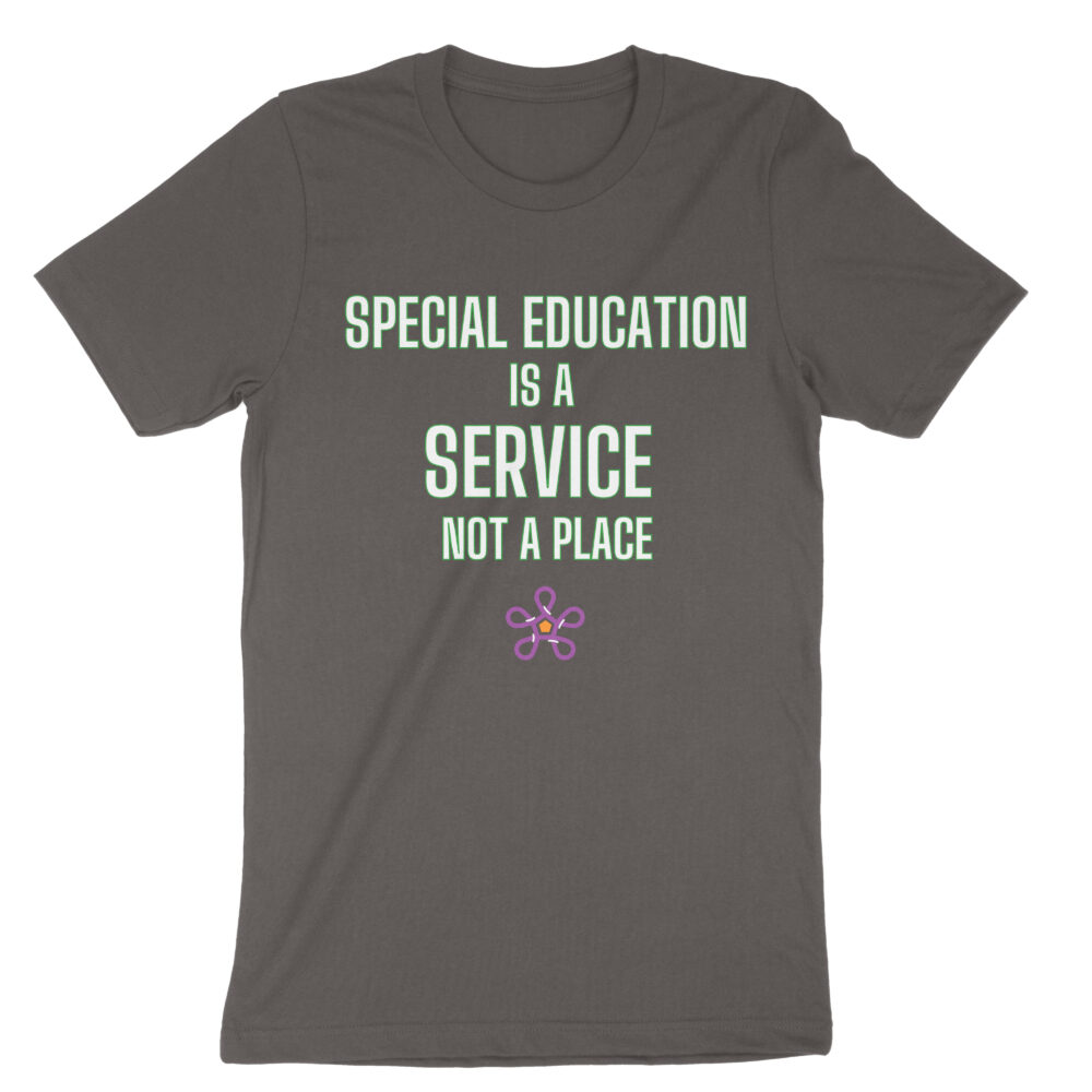 Bellacanvas 3001 front special ed is a service not a place brown
