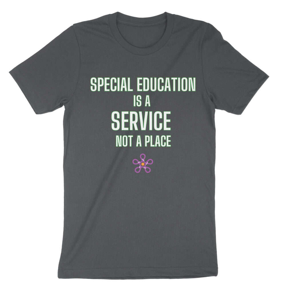 Bellacanvas 3001 front special ed is a service not a place dark grey