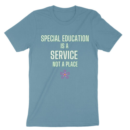 Bellacanvas 3001 front special ed is a service not a place steel blue