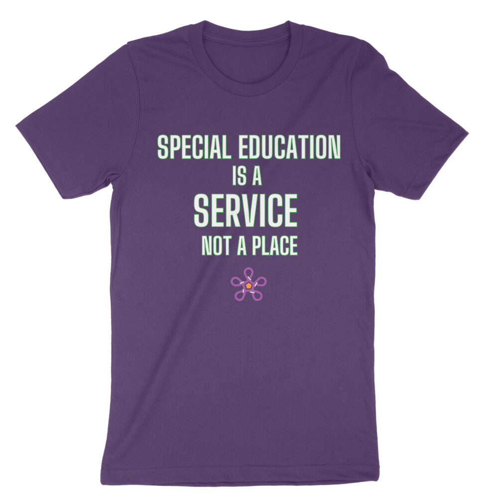 Bellacanvas 3001 front special ed is a service not a place team purple