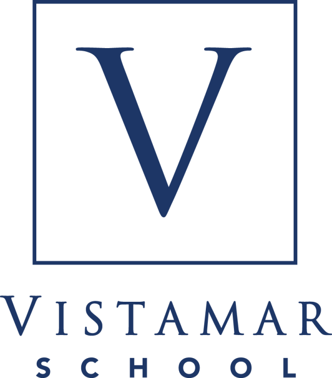 Vm pimary navy logo (1)